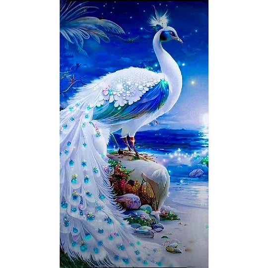 White Peacock