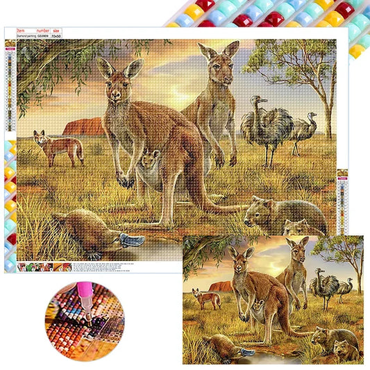 Kangaroo