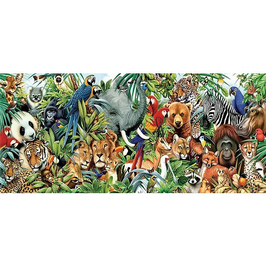 Zoo Party