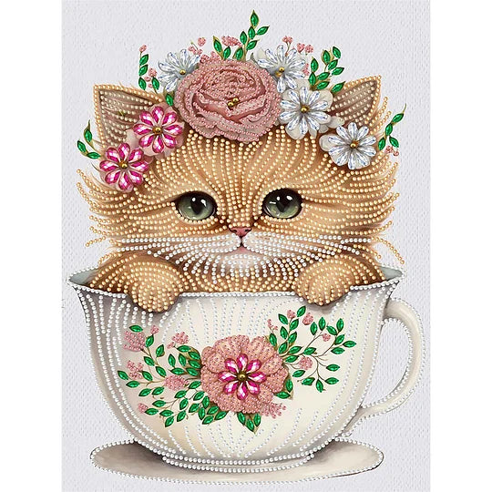 Teacup Kitten