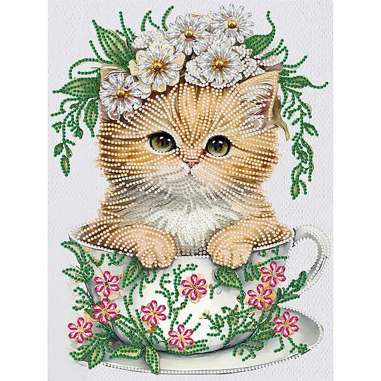 Teacup Kitten
