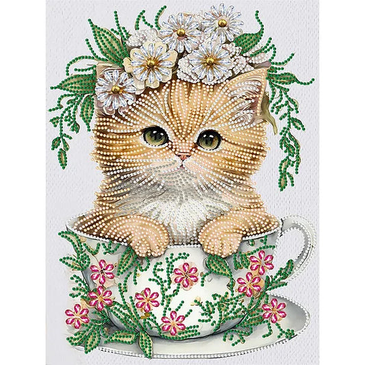 Teacup Kitten