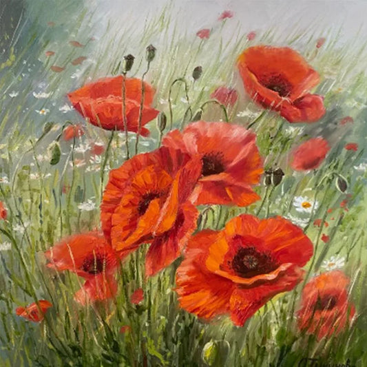 Poppies
