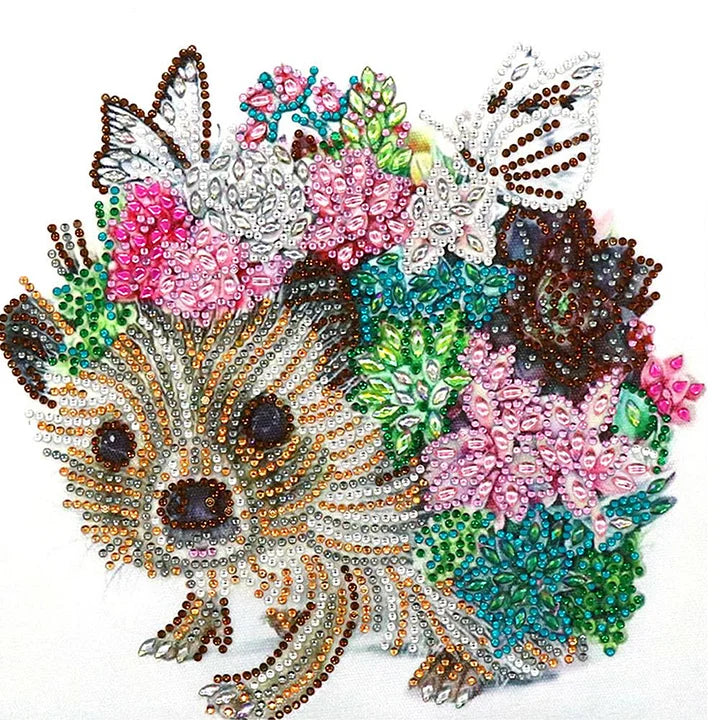Hedgehog