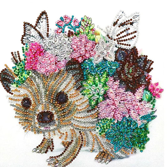 Hedgehog
