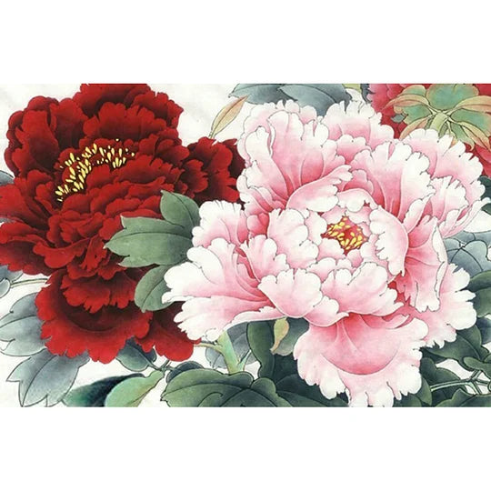 Peony Flower