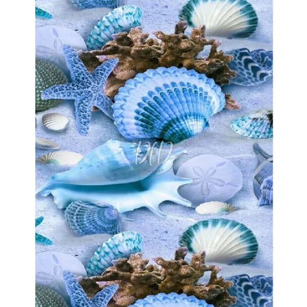 Beach Pearl Shell
