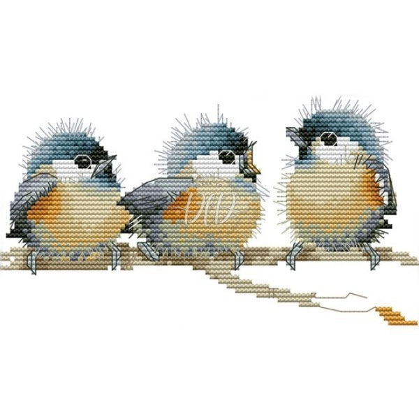 Birds