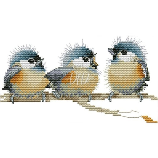 Birds