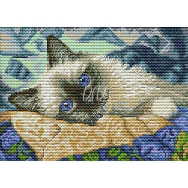 Blue Eyes Cat