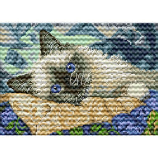 Blue Eyes Cat