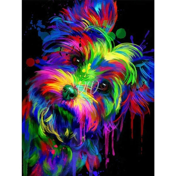 Colored Yorkshire Terrier