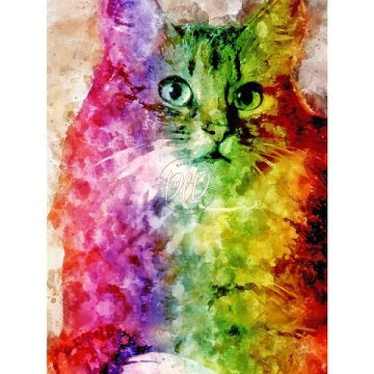 Colorful Cat