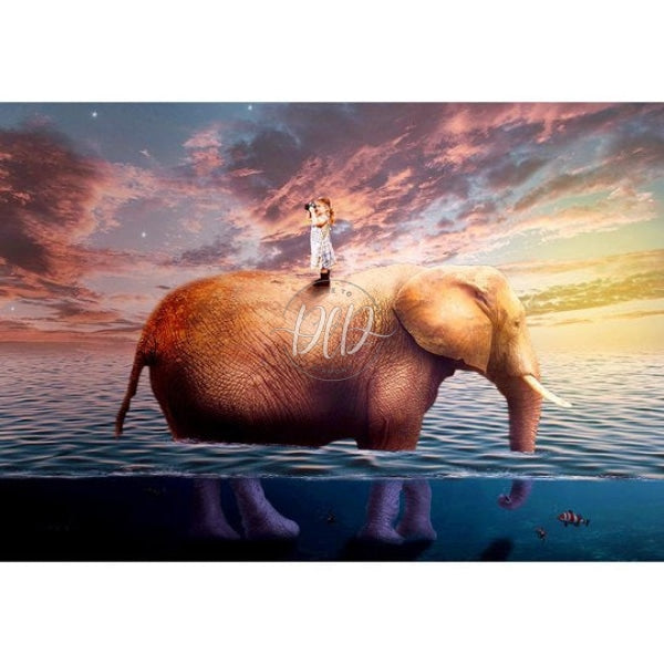 Elephant On Sea