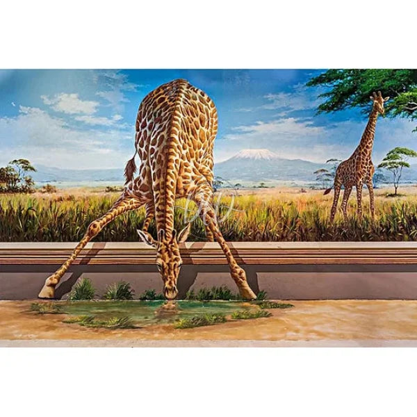 Giraffe Drinking Water