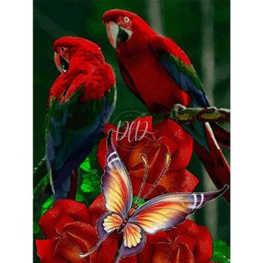 Parrot Rose