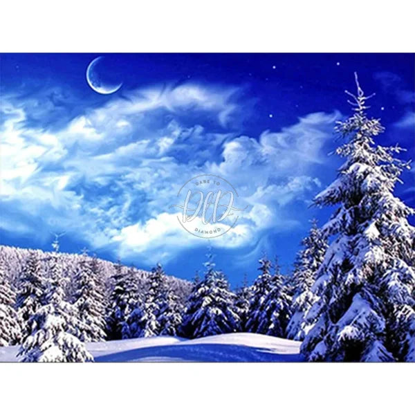 Snow Fir Forest