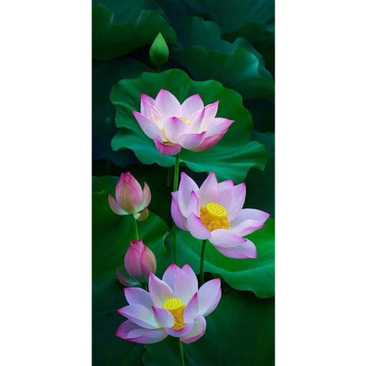 Lotus