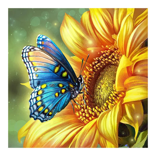 Sunflowers And Butterflies