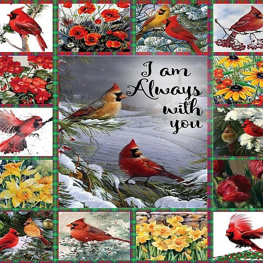 Cardinal Bird Framed View