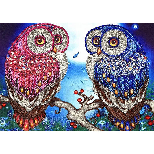 2 Owls