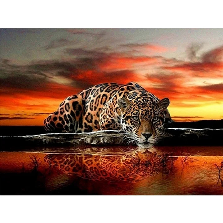 Leopard