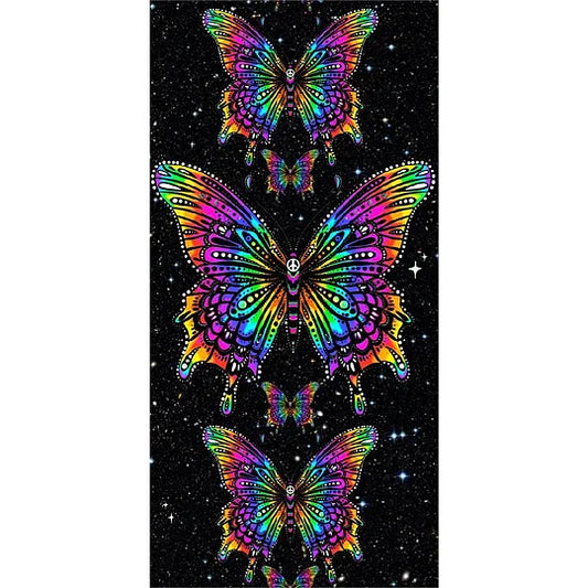 Colourful Butterfly