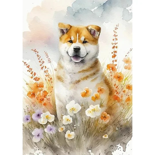 Watercolour Akita Dog