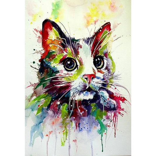 Colorful Cat