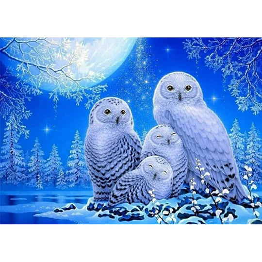 Snow Owl