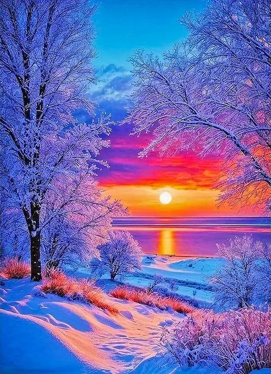 Winter Forest Sunrise Sunset