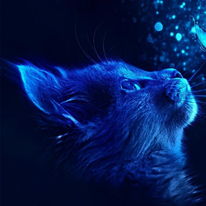 Blue Cat & Butterfly