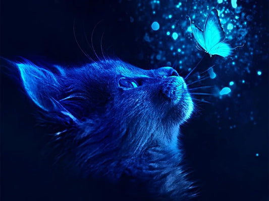 Blue Cat & Butterfly