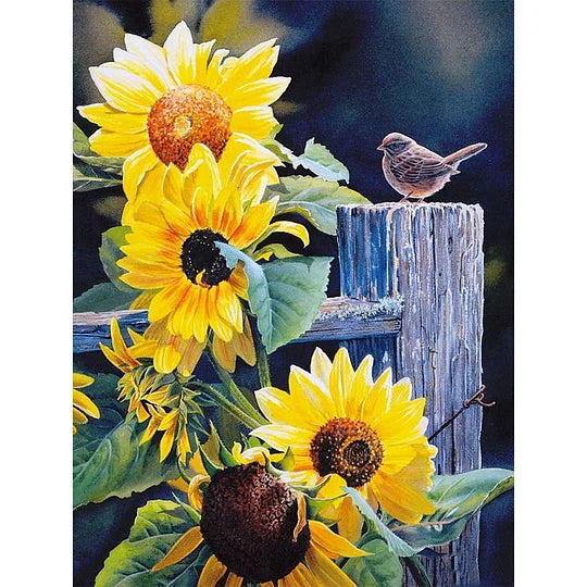 Bird Sunflower