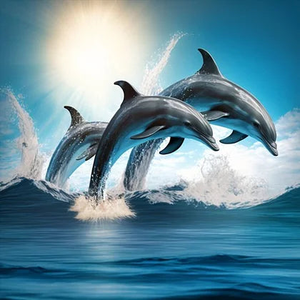 Dolphin
