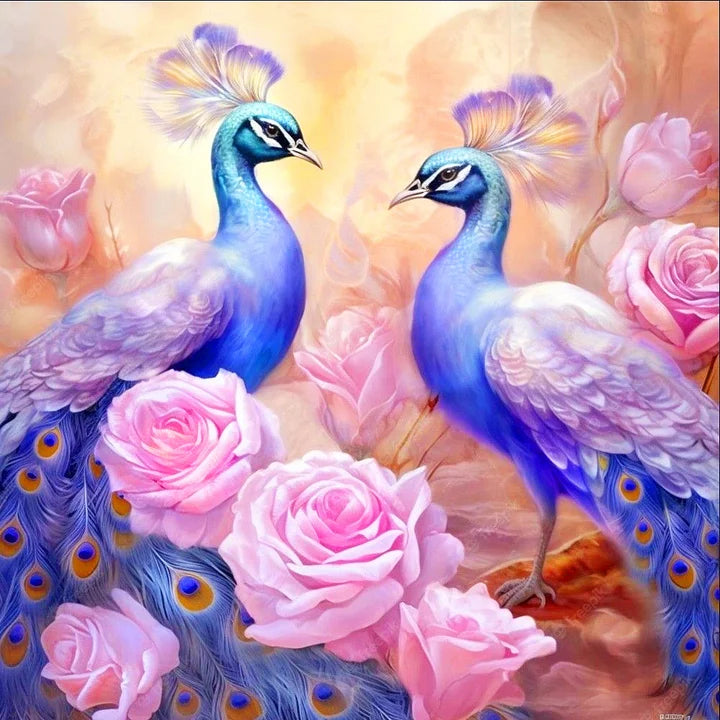 Peacock