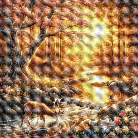 Sunset Woods