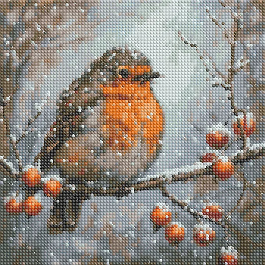 Robin