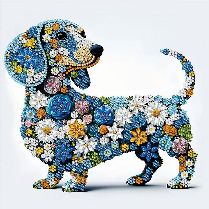 Dachshund