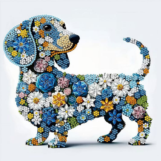 Dachshund