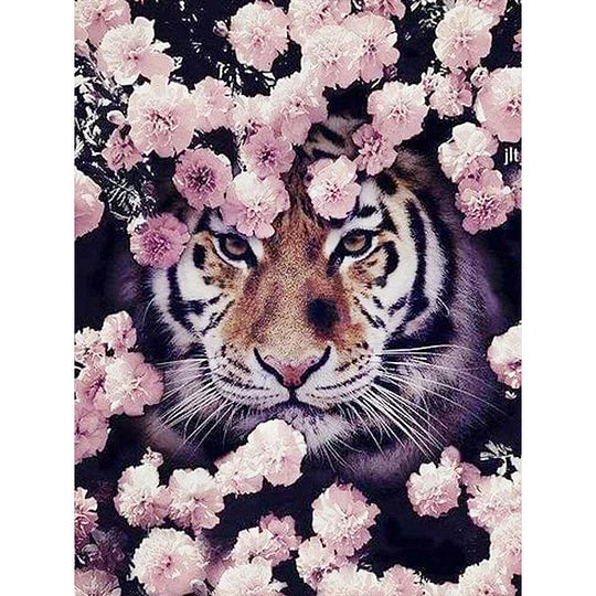 Tiger In Cherry Blossom