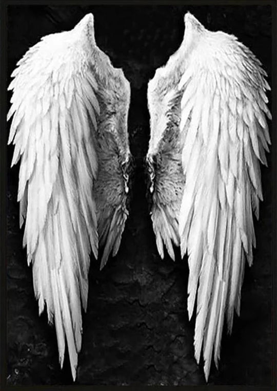 White Wings