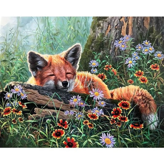 Animal Draw