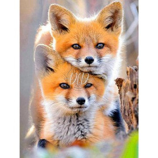 Animal Fox