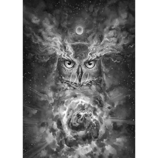 Black White Owl