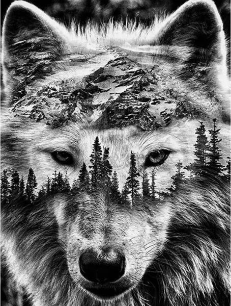 Black White Wolf 30*40Cm(Canvas) Full Round Drill Diamond Painting