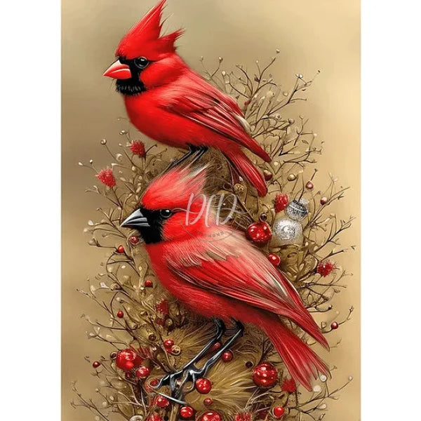 Cardinal Bird