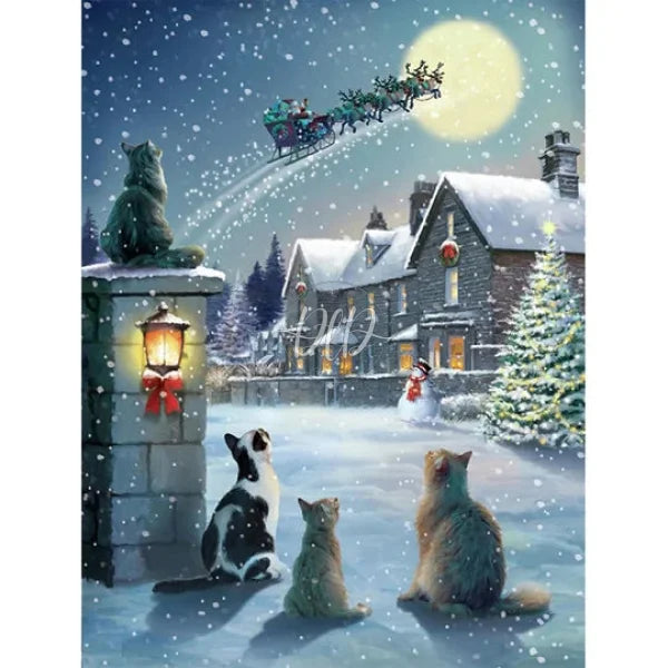 Cats At Christmas