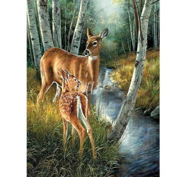 Deer