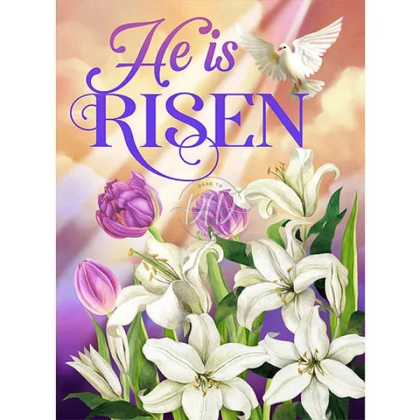 Easter Dove Lily